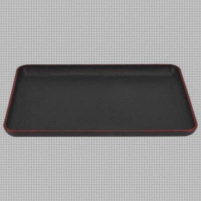 Las mejores bandejas bandeja plastica grande