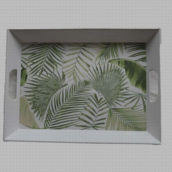 Opiniones de las 22 mejores Bandejas De Melamina Con Asas