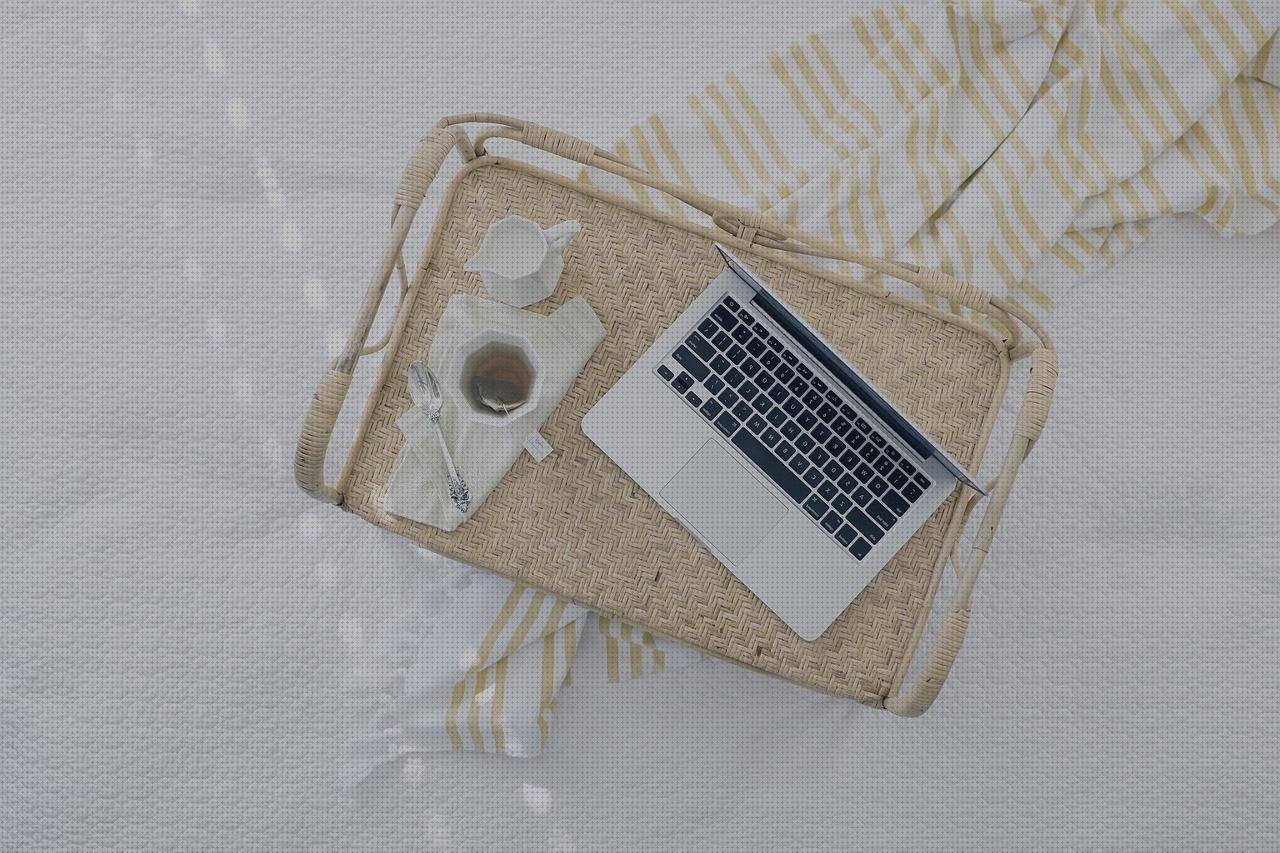 Review de bandejas de plástico clasificadoras