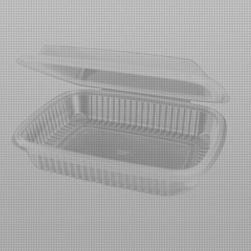 Las mejores bandejas plástico bandejas bandejas de plástico con tapa bisagra