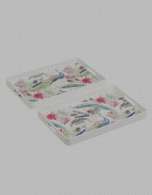 Review de bandejas de plástico de 50 x 40 cm