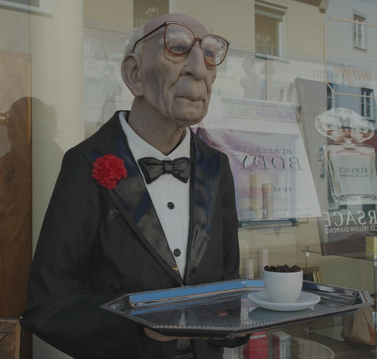 Opiniones de las 19 mejores Bandejas De Plásticos Drenajes Jardineria