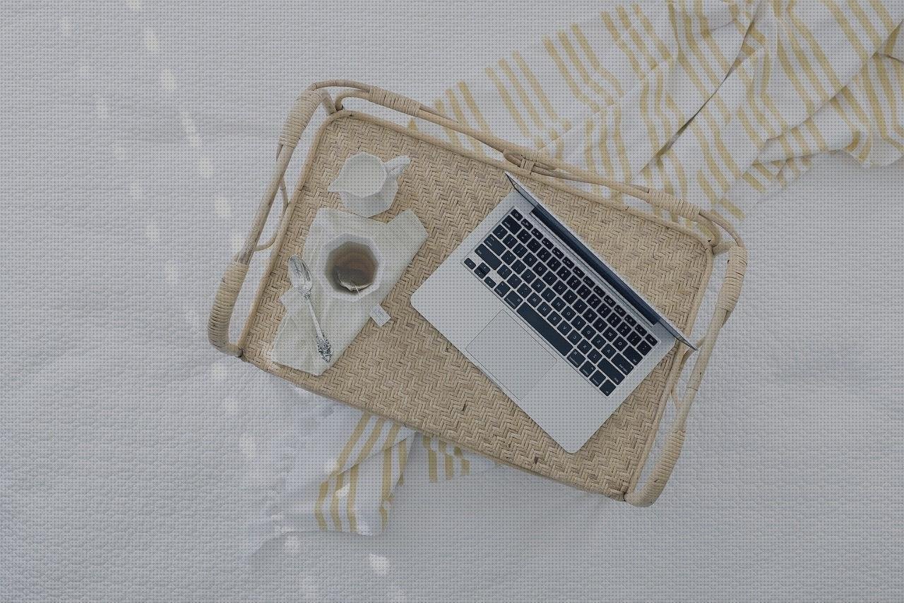 Las mejores marcas de bandejas de plástico desechables plantas macetas bandejas bandejas melamina azules