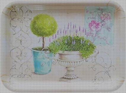 Análisis de las 5 mejores Bandejas Melamina Pequeña Comida