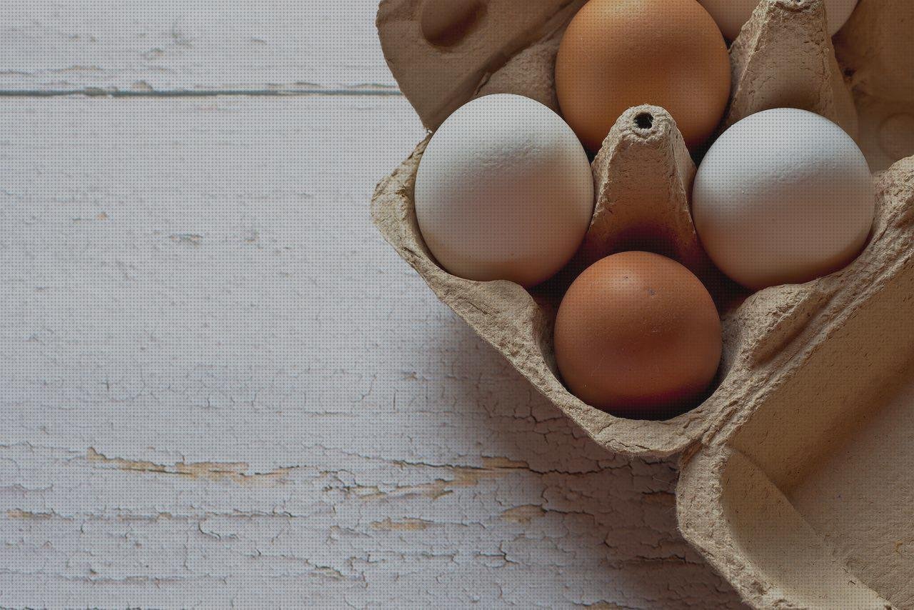 Review de bandejas ovaladas de plástico cocina