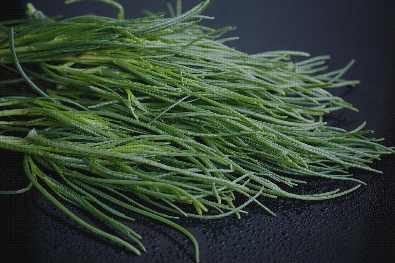 Las mejores 5 Barilla Fina De Metacrilato