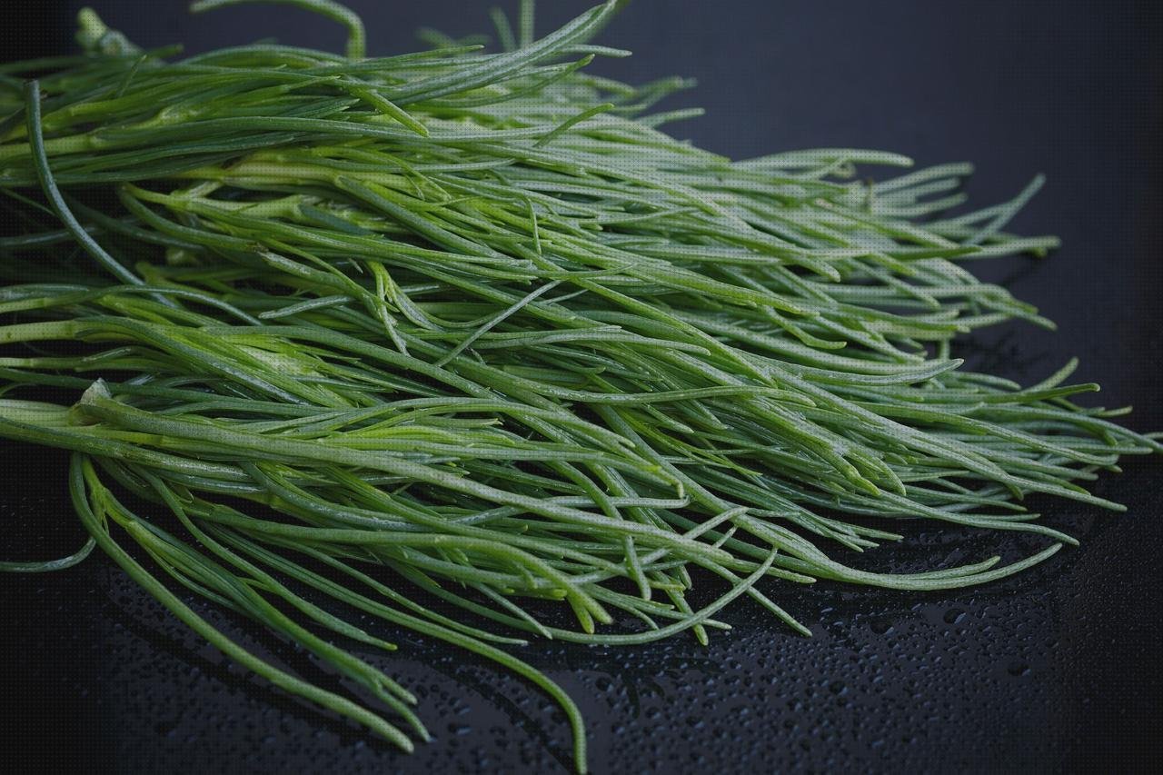 Las mejores 11 Barilla Metacrilato