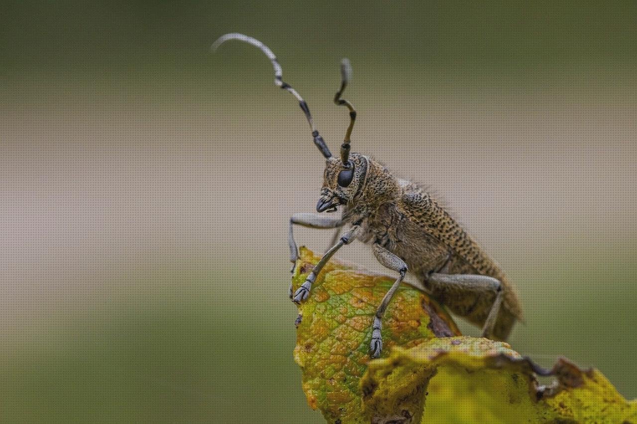 Las mejores baul de plástico baratos barreños de plástico baratos