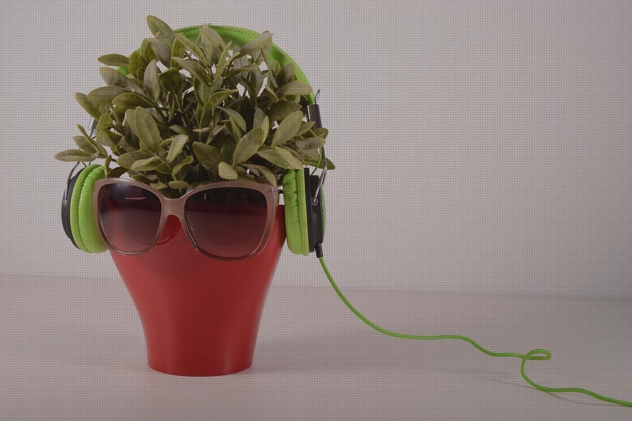 Los 5 Mejores Barriles De Plásticos Grandes