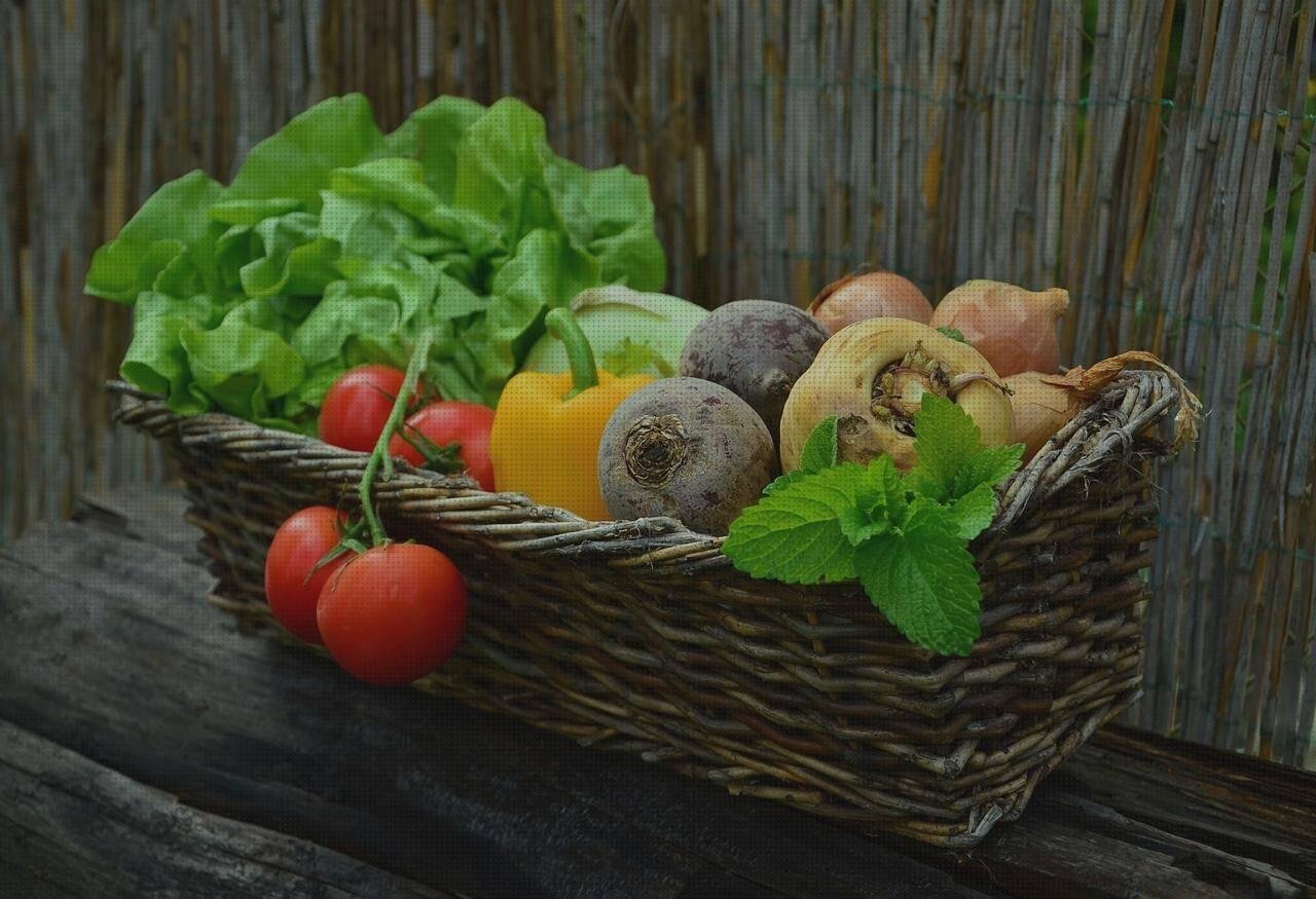 ¿Dónde poder comprar telhas de plástico aroz con plástico resbaladilla de plástico baskets de plástico?