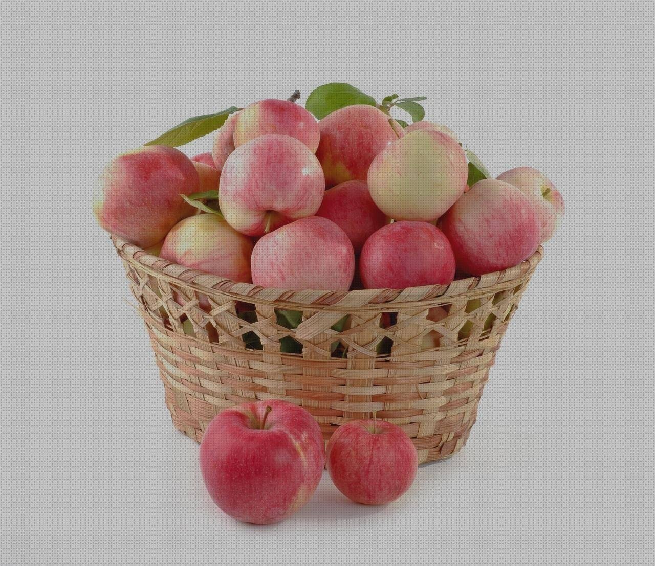 Las mejores telhas de plástico aroz con plástico resbaladilla de plástico baskets de plástico