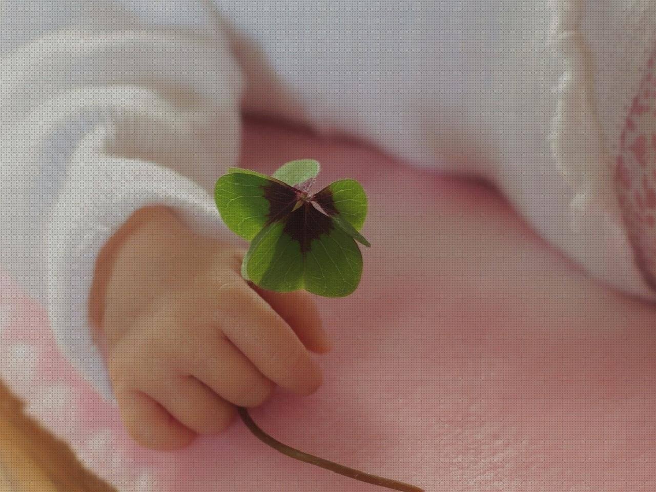 Las mejores marcas de reborn silicona bebe reborn silicona