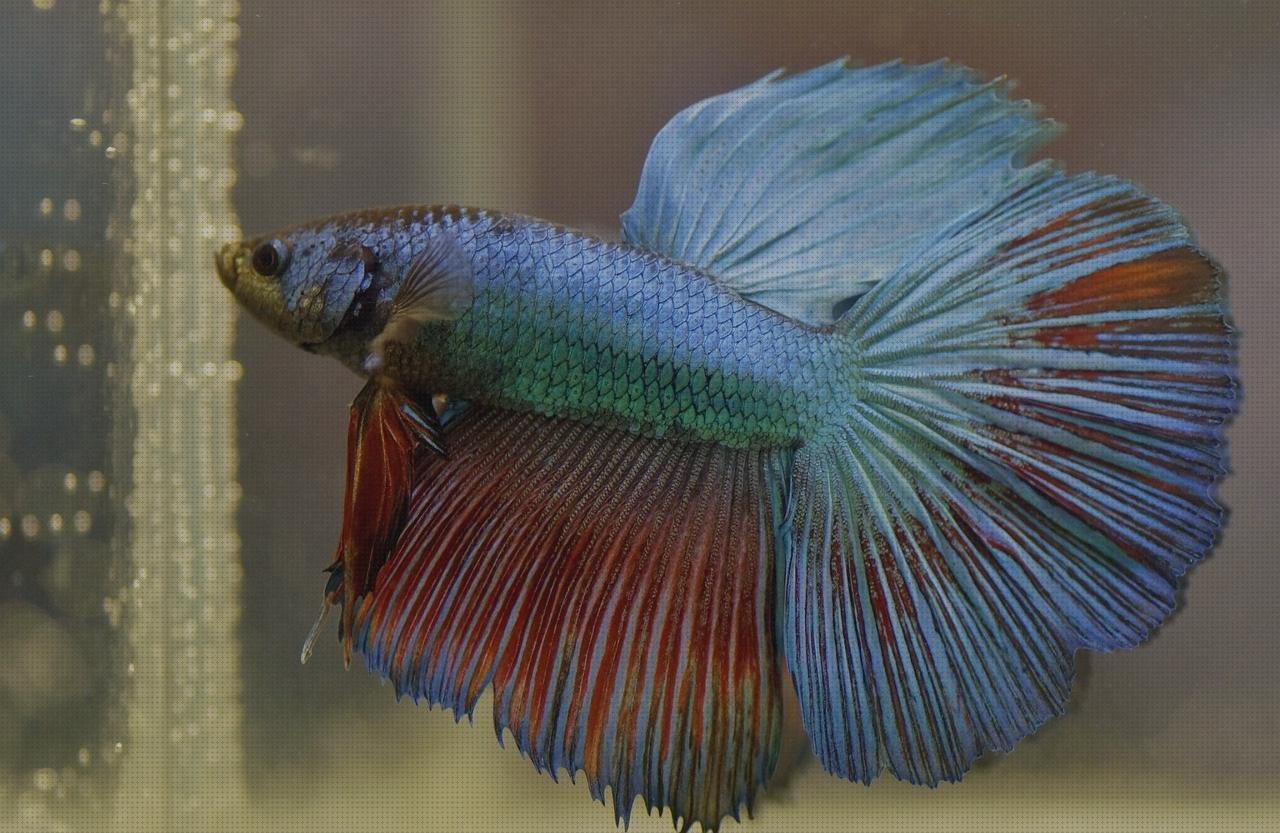 Las mejores marcas de caderas de silicona cadera de plástico plana de plástico betas de plástico