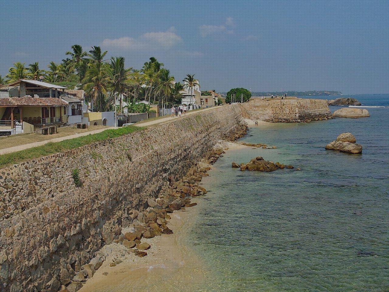 Review de bilis recipientes de plástico