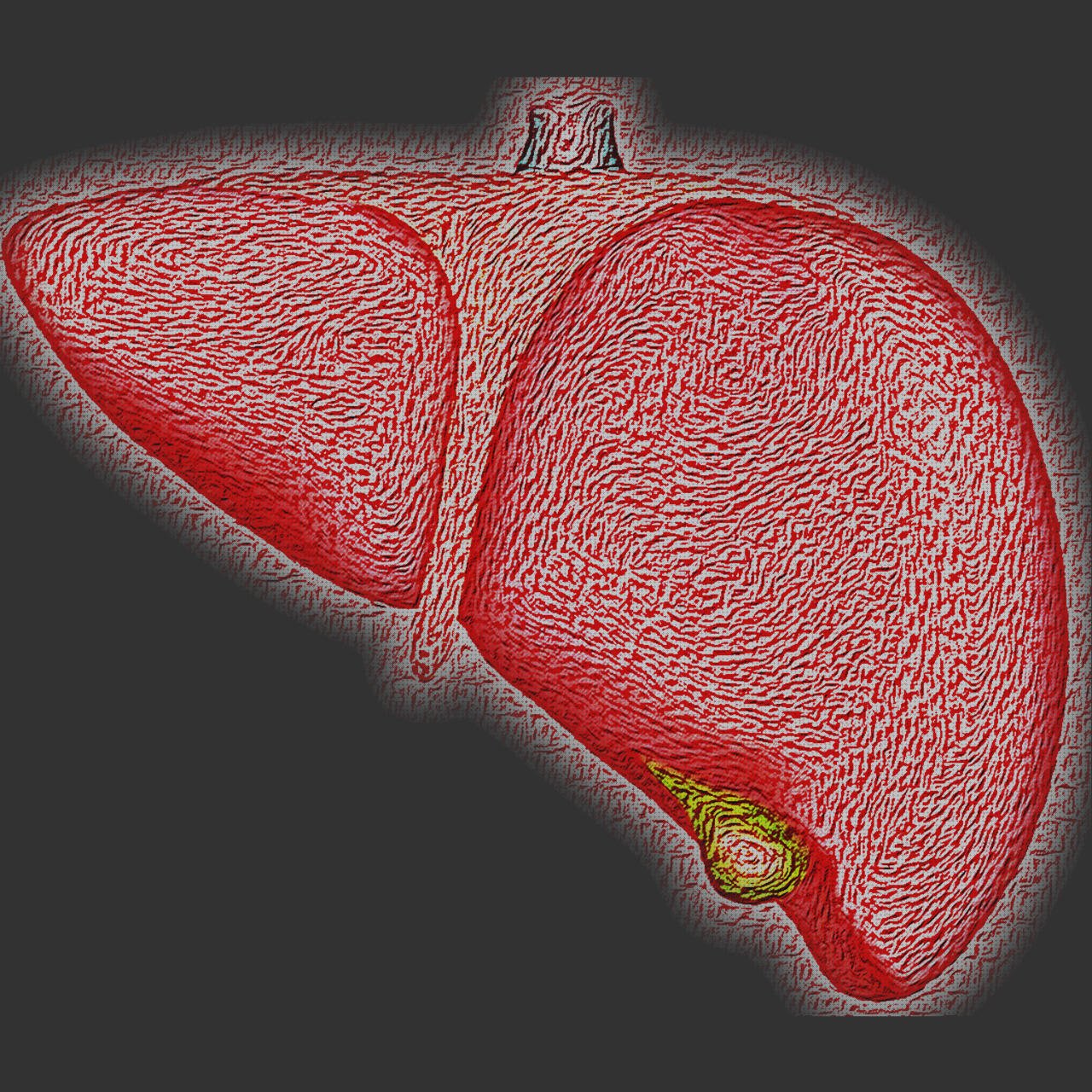 Las 0 Mejores Bilis Recipientes De Plásticos