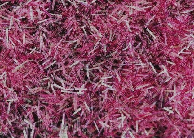 Las mejores marcas de frasquitos de plástico con tapa frasquitos plástico 20 sump de plástico birutas de plástico