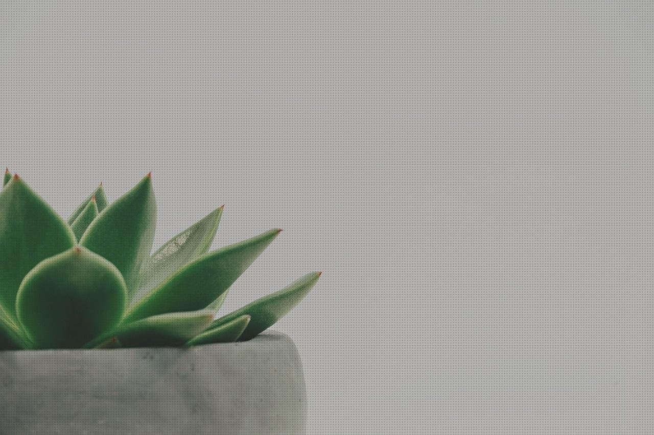¿Dónde poder comprar bisera de plástico pa casco tubitos de silicona caliente figuras con tubitos de plástico bitellas de agua de plástico verde?