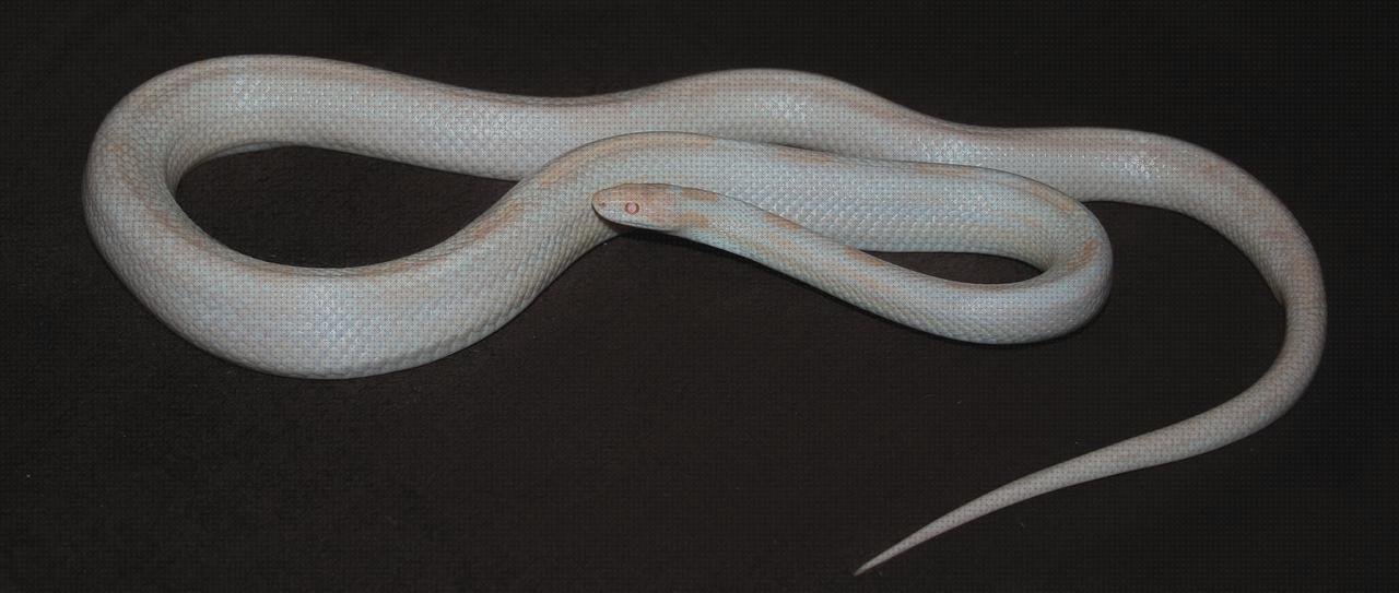 Los 7 Mejores Blanco Opal Hielo Metacrilato