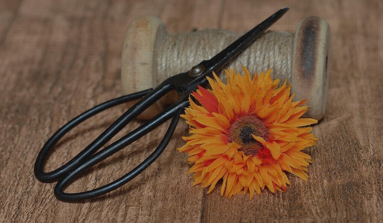 Las mejores bobina plástico bobinas de plástico de burbuja