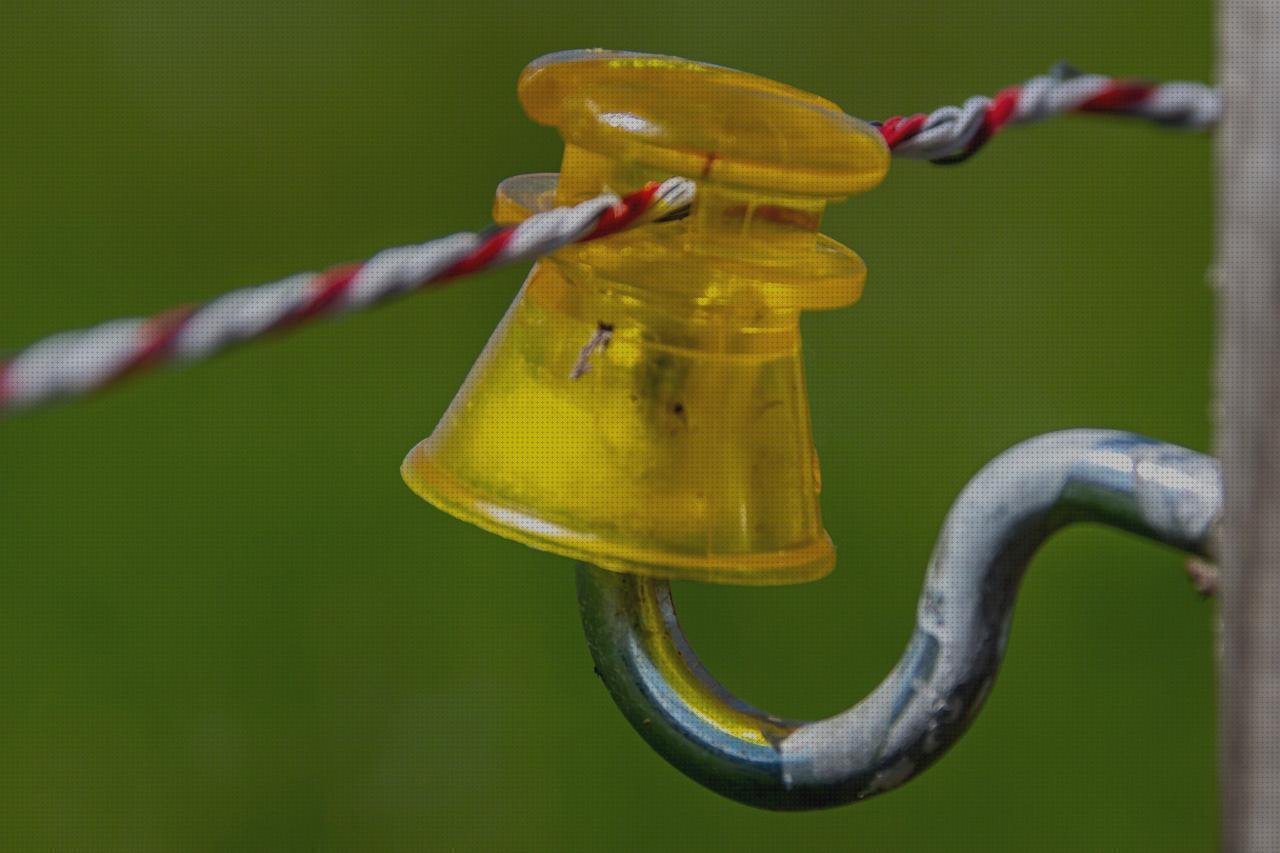 Las mejores marcas de bobina plástico bobinas de plástico de pp