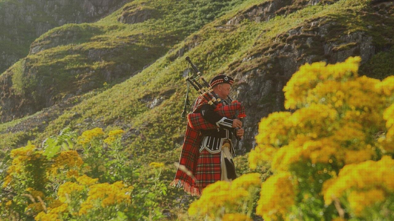 Análisis de las 18 mejores Bolsas De Pipas De Plásticos