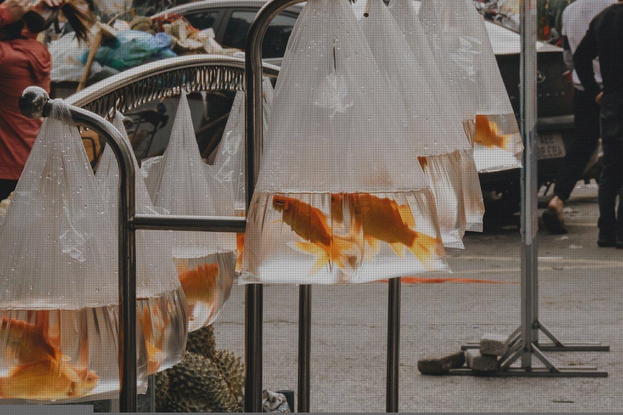 Las mejores marcas de visera plástico colores bolsa de plástico de colores