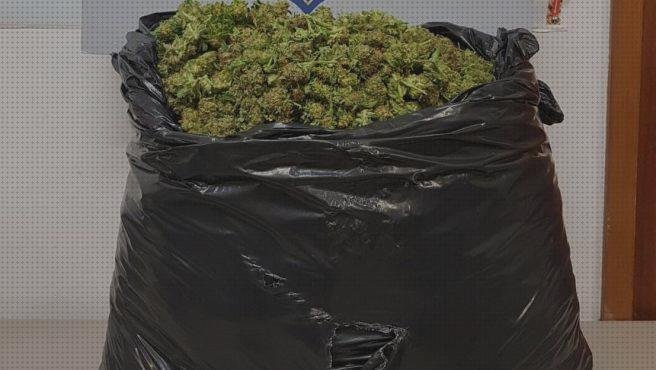 Las mejores 20 Bolsas Grandes De Plásticos Con Weed