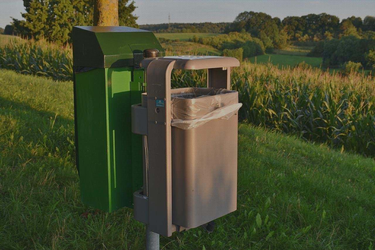 Review de bolsa plástico reutilizable