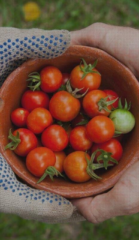 Las mejores 8 Bolsas De Siliconas En Botes De Proteina