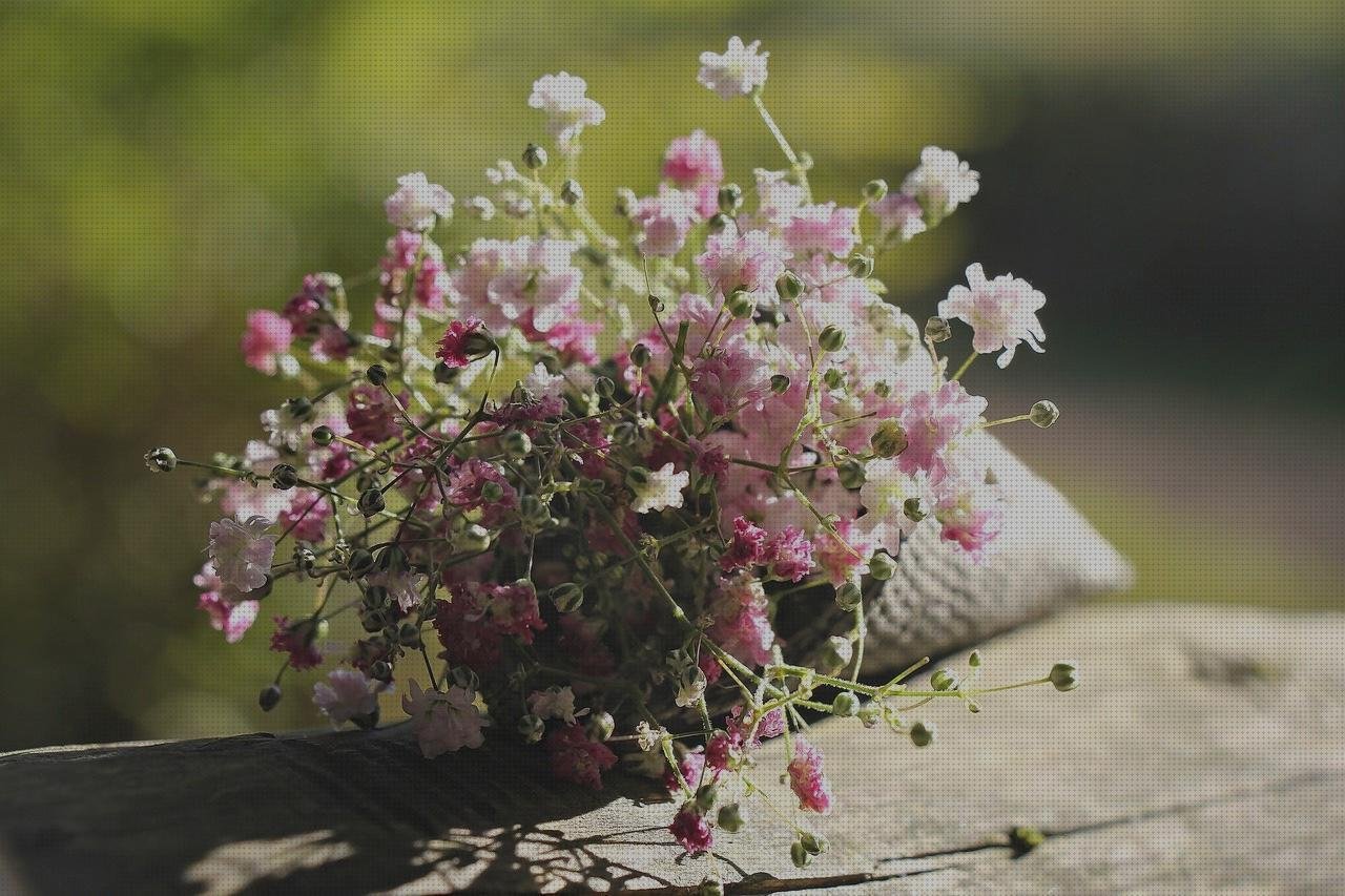 Las mejores marcas de bolsos plástico bolso con plástico impermeable