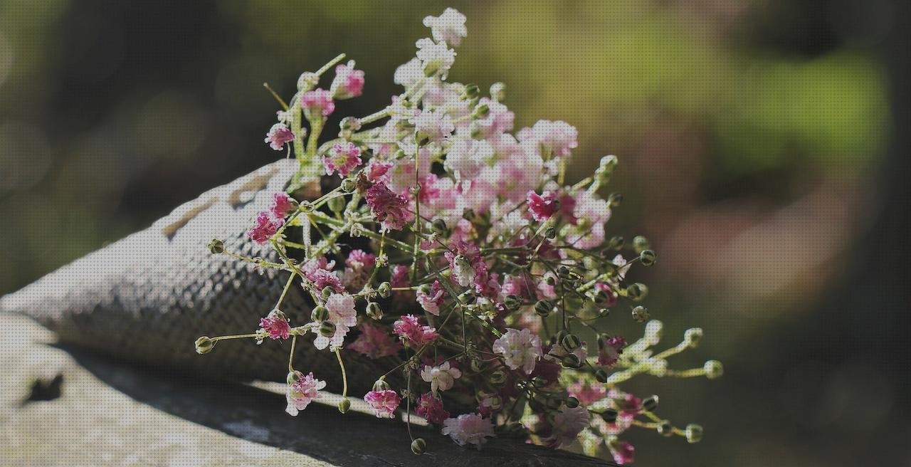 Las mejores bolsos plástico bolso con plástico impermeable