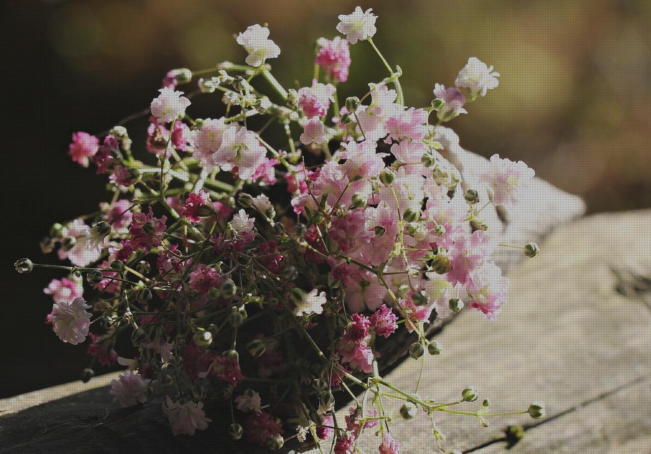 Review de bolso con plástico impermeable