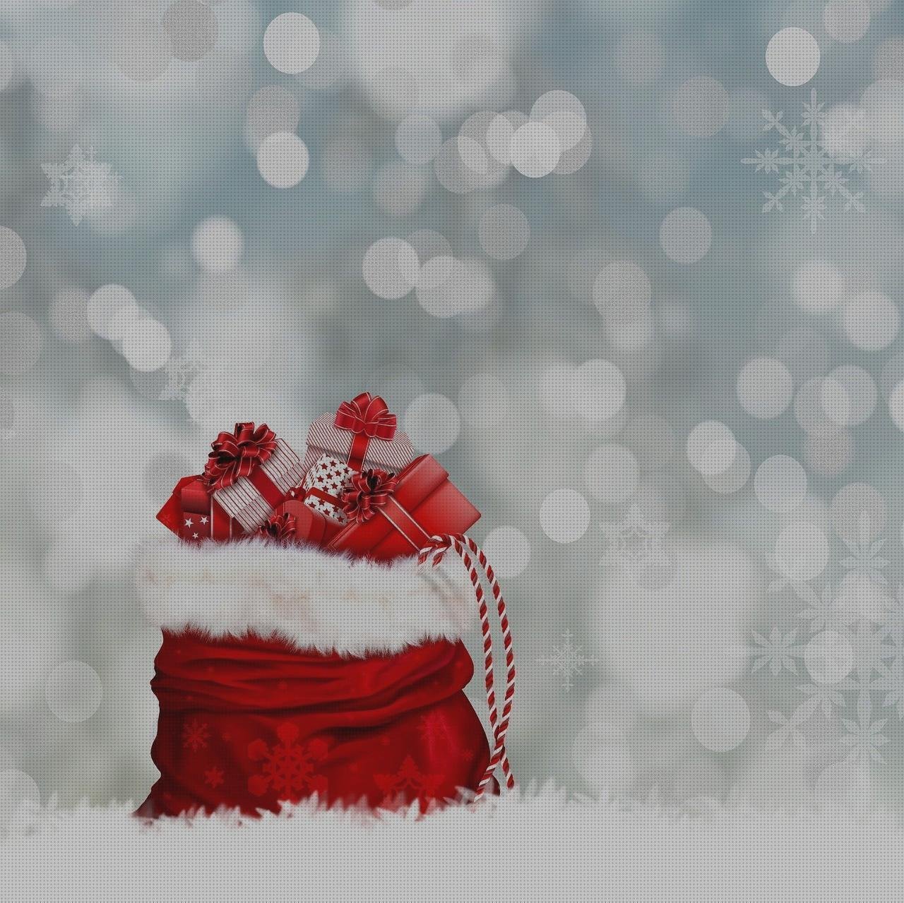 Análisis de los 14 mejores Bolsos Silicona