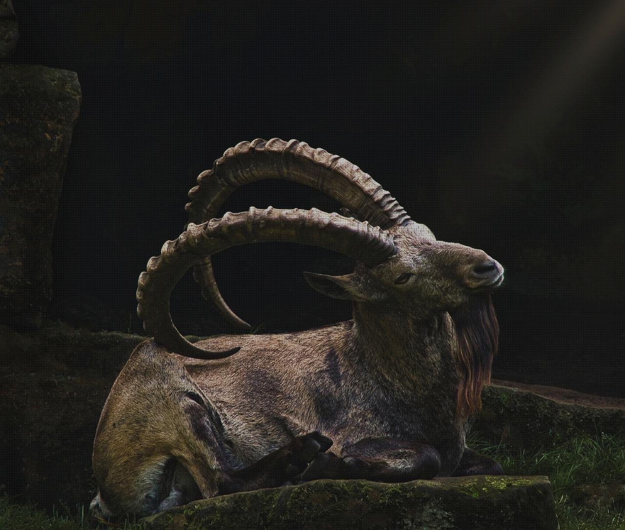 Review de bosque con montaña de plástico