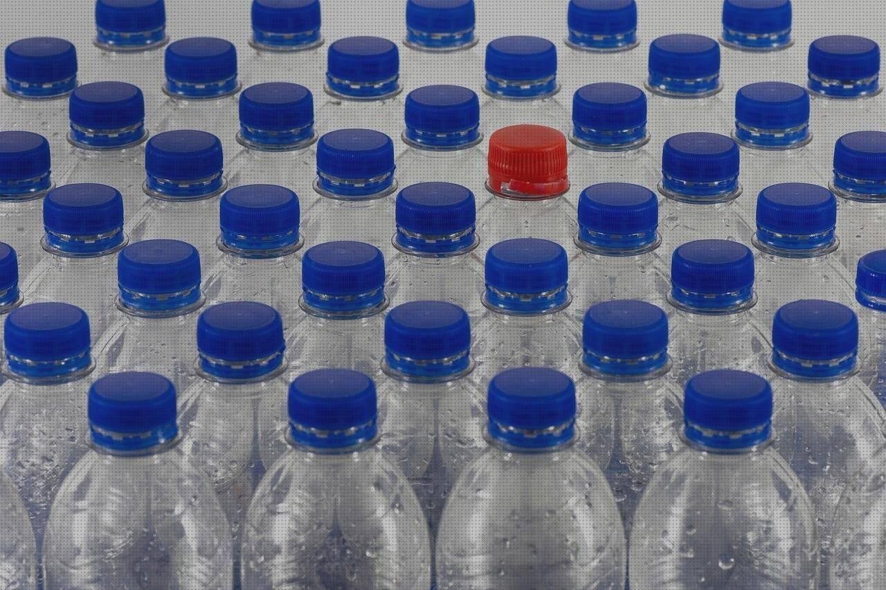 Las mejores botellas botella agua plástico