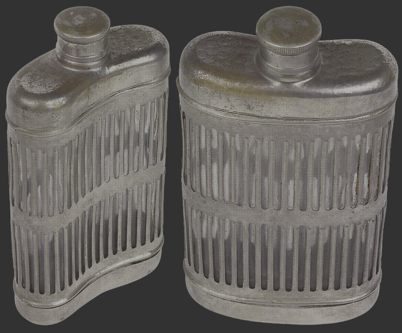 Opiniones de botellas botella cantimplora de plástico