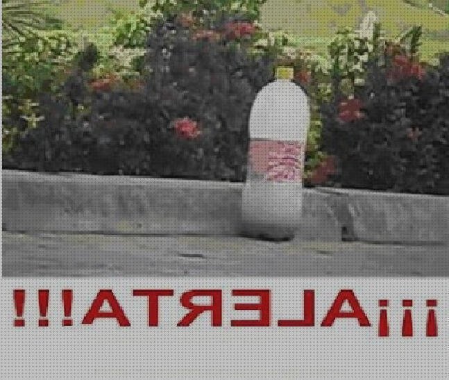 Opiniones de las 18 mejores Botellas De Plásticos Aluminios Y Sosas Caustica