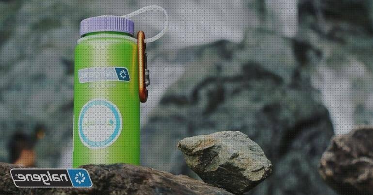 Las 8 Mejores Botellas De Plásticos Libres De Bpa