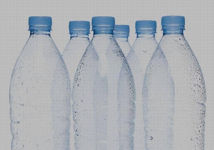 Las mejores 17 Botellas De Plásticos Recicladas
