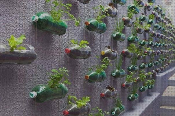 Review de botellas de plastico reutilizar