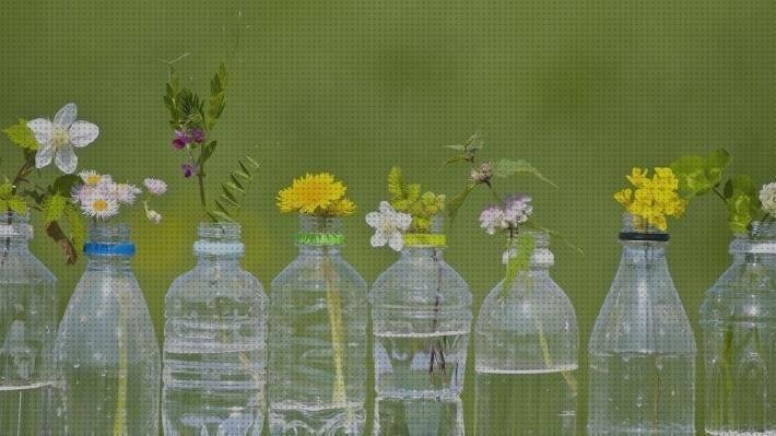 Las mejores marcas de botellas botellas de plastico reutilizar