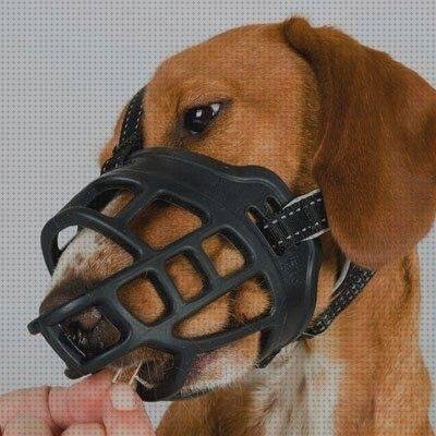 ¿Dónde poder comprar Más sobre pasta de silicona Más sobre caca plástico Más sobre grinder plástico bozal de silicona?