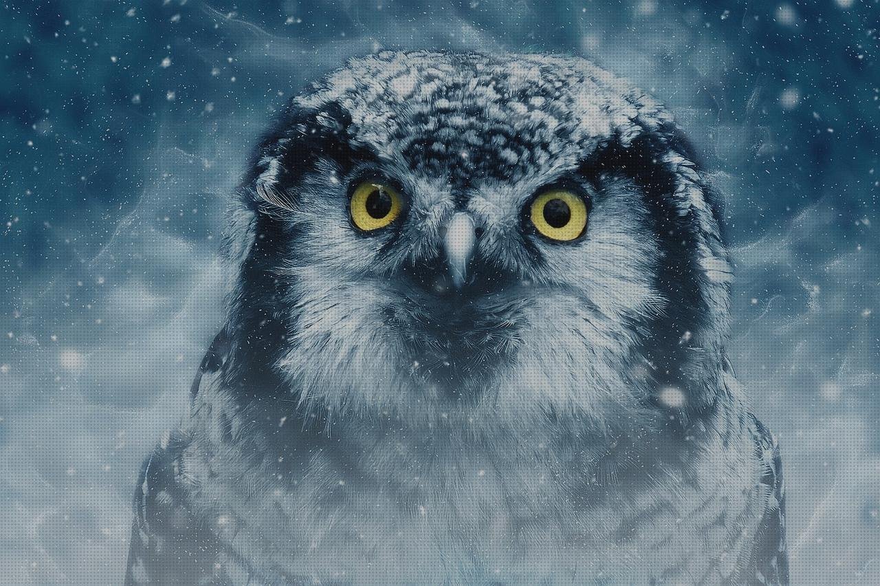 Las mejores marcas de perchero metacrilato estructura metacrilato rótulo corporeo chapa y metacrilato buho metacrilato