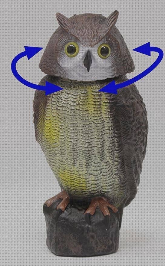 Las mejores marcas de búhos