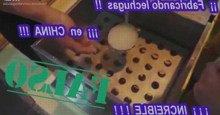 Review de bulo de plástico hojas de lechuga