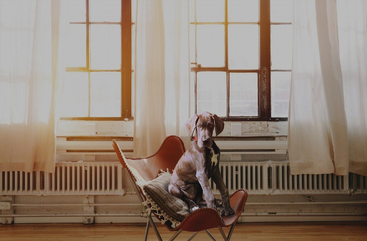 ¿Dónde poder comprar caja plastico niños butaca para niños de plástico de polipropileno?