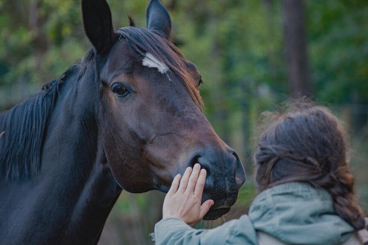 Los 9 Mejores Caballos Con Gallos De Plásticos