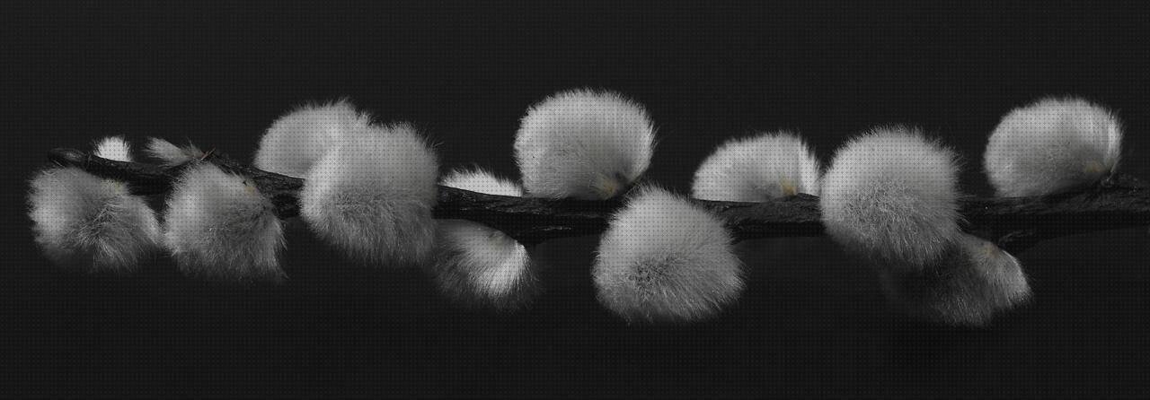 ¿Dónde poder comprar cerco de colonia en melamina cerco perimetral de plastico abrasivos de formato plástico cabecera melamina?