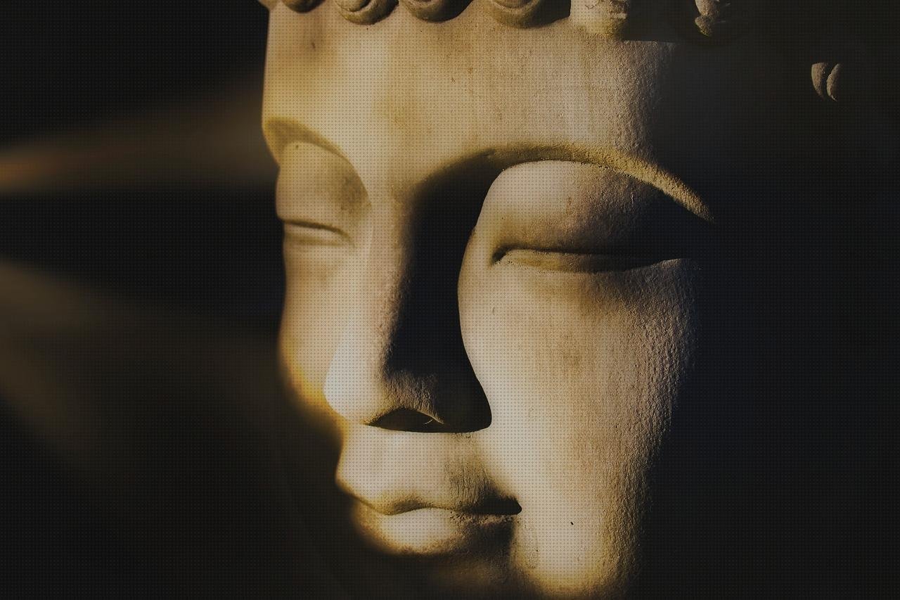 Las mejores cubrepiernas moto custom metacrilato cupula moto custom metacrilato ciervo de metacrilato cabeza de buda vintage metacrilato