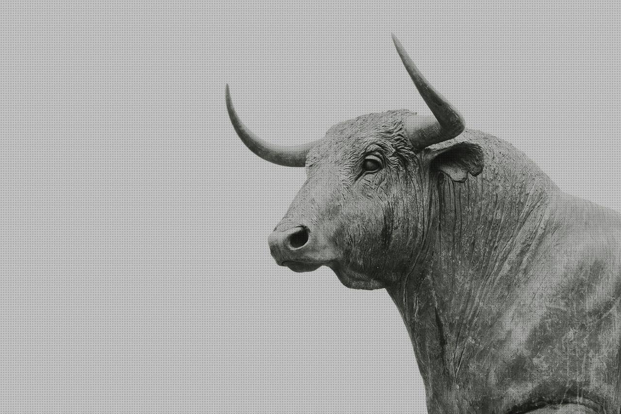 Las mejores plástico cascos cabeza de toro de plástico